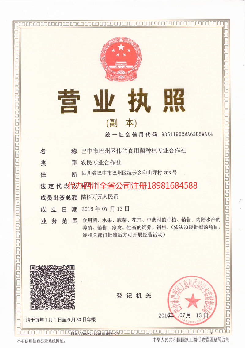 高坪高坪伟兰食用菌种植专业合作社