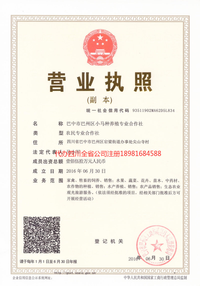 高坪高坪小马种养殖专业合作社